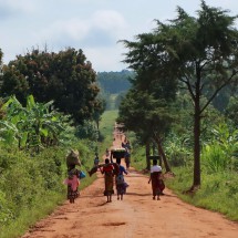 Tanganyika and Victoria Lakes